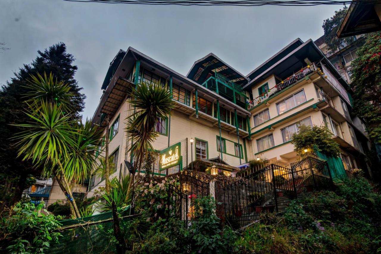 Muscatel Himalayan Resort - 400 Mts From Mall Road 大吉岭 外观 照片