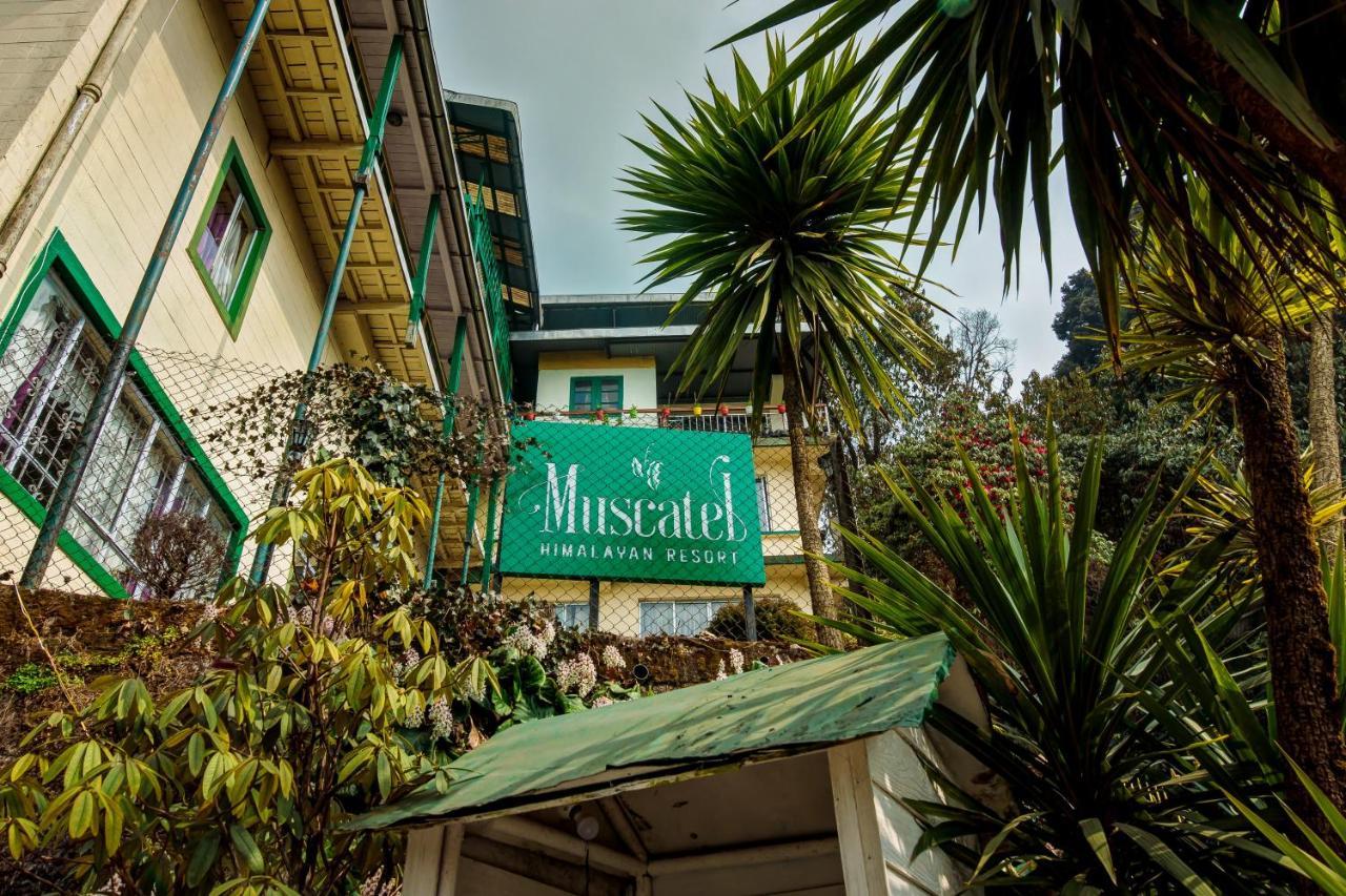 Muscatel Himalayan Resort - 400 Mts From Mall Road 大吉岭 外观 照片