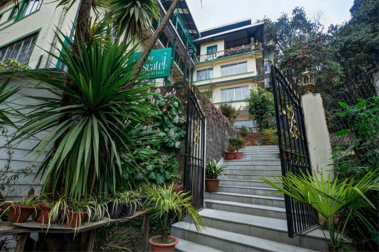 Muscatel Himalayan Resort - 400 Mts From Mall Road 大吉岭 外观 照片
