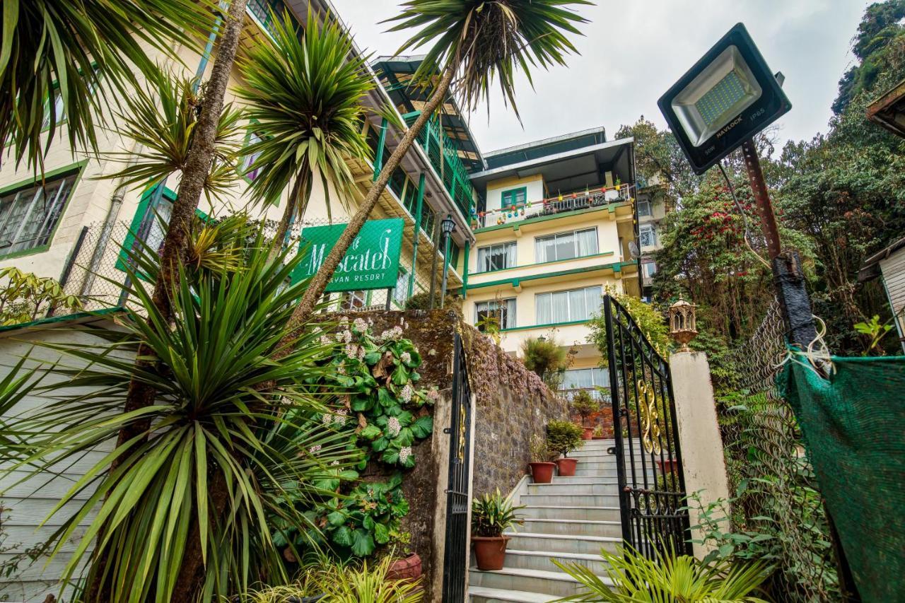 Muscatel Himalayan Resort - 400 Mts From Mall Road 大吉岭 外观 照片